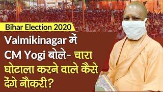Bihar Election 2020: Valmikinagar में CM Yogi  बोले-Fodder Scam करने वाले कैसे देंगे नौकरी?