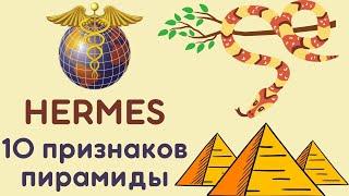 Hermes ltd 10 признаков пирамиды | Hermes ltd - фонд или пустая страничка в интернете