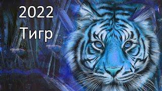 Китайский гороскоп на 2022 год : Тигр