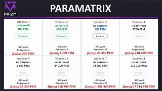 Paramatrix Prizm Space Bot короткая презентация