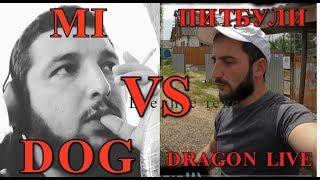 Питбули Dragon Live VS MY DOG