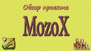 MozoX / Общий обзор компании