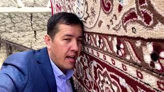 Бизнес идея мойка кавров в Узбекистане