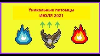 Уникальные питомцы июля 2021 года в игре ORNA: RPG GPS. Пламя сутра и сокол Гуллинкамби.