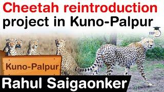 Cheetah reintroduction project in Kuno Palpur - Facts about Kuno Palpur Wildlife Sanctuary #UPSC