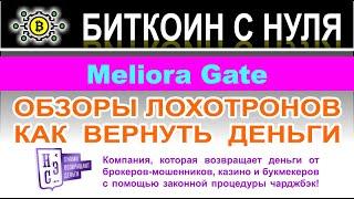 Meliora Gate: что компания представляет собой? Скорее всего очередной лохотрон и развод Отзывы.