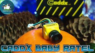 ✅ FPV Камера Caddx Baby Ratel | 1200TVL 1/1.8" OSD 4.6g | Для Гоночного Квадрокоптера!