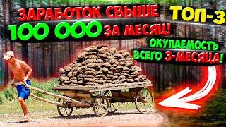 ТОП-3 Доход от 100 000 рублей в месяц!!! Окупаемость через 3 месяца