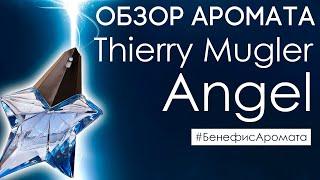 Обзор и отзывы о Thierry Mugler Angel (Тьерри Мюглер Ангел) от Духи.рф | Бенефис аромата