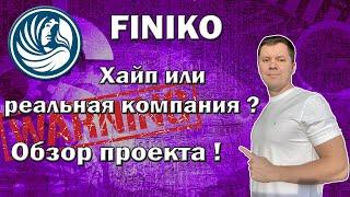 Finiko обзор проекта | Финико хайп или реальная компания ?