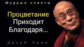 Драгоценные Советы Далай Ламы, которые заставляют задуматься/Цитаты с Глубоким Смыслом