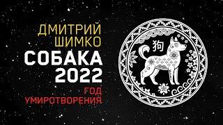 Гороскоп Собака -2022. Астротиполог, Нумеролог - Дмитрий Шимко