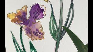 Iris Flower Painting with Watercolors