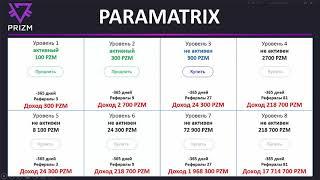 8 Paramatrix короткая презентация Prizm Space Bot