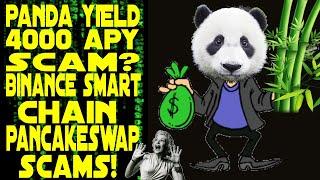 PANDA YIELD BAMBOO 4000% APY SCAM | PANCAKESWAP CLONE FORK | HOW TO TELL BINANCE SMART CHAIN SCAMS !
