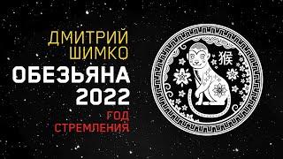 Гороскоп Обезьяна -2022. Астротиполог, Нумеролог - Дмитрий Шимко
