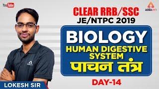 RRB NTPC/JE 2019 | BIOLOGY | Human Digestive System | पाचन तंत्र।  | DAY 14 | LOKESH SIR | 9 AM