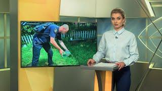 На Житомирщині поліцейські відзвітували про вилучення 3,5 літрів самогону в пенсіонерки