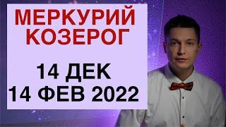 Денежный план на 2022 год гороскоп Меркурий в козероге до 2022  гороскоп Павел Чудинов