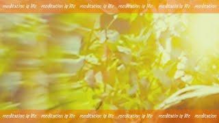 Датта Даршан | Datta Darshan | Meditation is Life