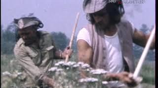 Магадан. Таёжные десанты в помощь труженикам 1.08.1983