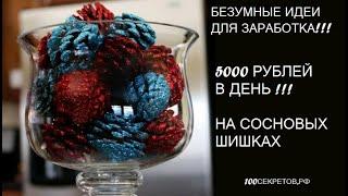 Безумные идеи для заработка  5000 рублей в день на сосновых шишках в накануне нового года