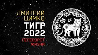 Гороскоп Тигр -2022. Астротиполог, Нумеролог - Дмитрий Шимко
