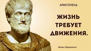 Мудрость Аристотеля. Цитаты, афоризмы, мудрые мысли великих людей.