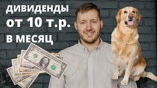 Дивидендная зарплата 10 тысяч рублей в месяц. Как выбирать дивидендные акции. Ответы на вопросы