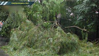 У Вінниці буревій за кілька годин повалив 13 дерев