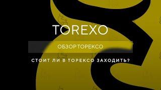 Torexo обзор проекта - Заработок с Торексо  - Сколько проживёт Torexo