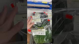 Микрозелень в супермаркет #ситиферма #микрозелень #бизнесидеи #зелень #наставник #tiktok #бизнес