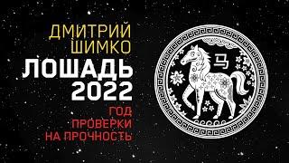 Гороскоп Лошадь -2022. Астротиполог, Нумеролог - Дмитрий Шимко