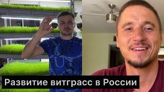 Витграсс Москва Green-mix.market Интервью Зеленый Шеф