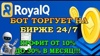 Royal Q - Супер бот для автоматической торговли криптовалютой на бирже!!! Заработок на пассиве!!!