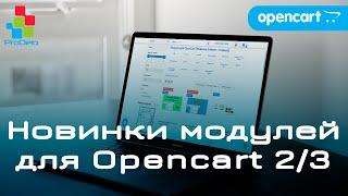 Новинки модулей 2021 для Opencart 2-3x #7