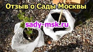 Отзыв о Сады Москвы Sady-msk.ru