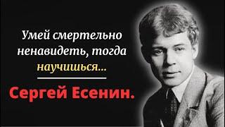 Поразительные цитаты Сергея Есенина о жизни и любви,которые наполнены глубоким смыслом!Лучшие цитаты