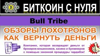 Bull Tribe — снова развод и сразу на 1000 долларов? Не стоит сотрудничать? Отзывы.