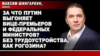 За что Путин выгоняет вице-премьеров и федеральных министров? Без трудоустройства, как Рогозина?
