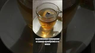 Домашний фито чай | Бизнес идея по производству чая
