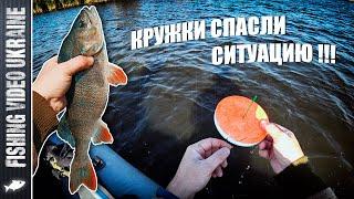 ПОЙМАЛИ ТРОФЕЙНОГО ОКУНЯ И НЕ ТОЛЬКО - КРУЖКИ КАК ВСЕГДА РУЛЯТ! | FishingVideoUkraine