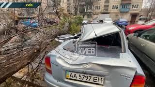 У Києві через негоду дерево впало на автівки