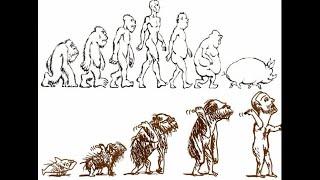 Как переобувается наука: была обезьяна, теперь появился некий мистический первопредок. Кто дальше? ツ