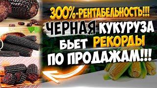 150 000 рублей в месяц на продаже горячей черной кукурузы Новая бизнес идея Ноу-хау