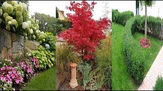 Какие выбрать растения для красивого сада