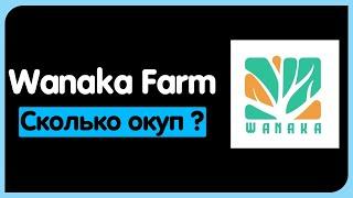 Wanaka Farm обзор проекта | Когда релиз ? | Как зарабатывать ?