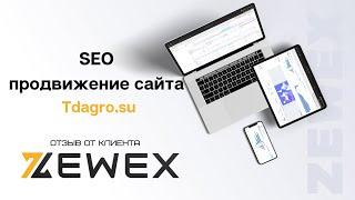 SEO продвижение сайта Tdagro.su - отзыв о компании Zewex