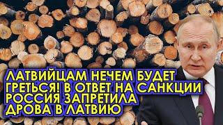 Латвийцам нечем будет греться! В ответ на санкции Россия запретила дрова в Латвию